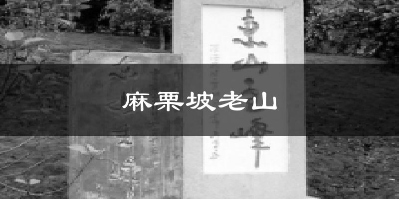 麻栗坡老山气温