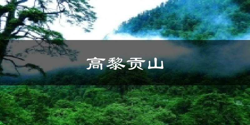 高黎贡山天气预报十五天