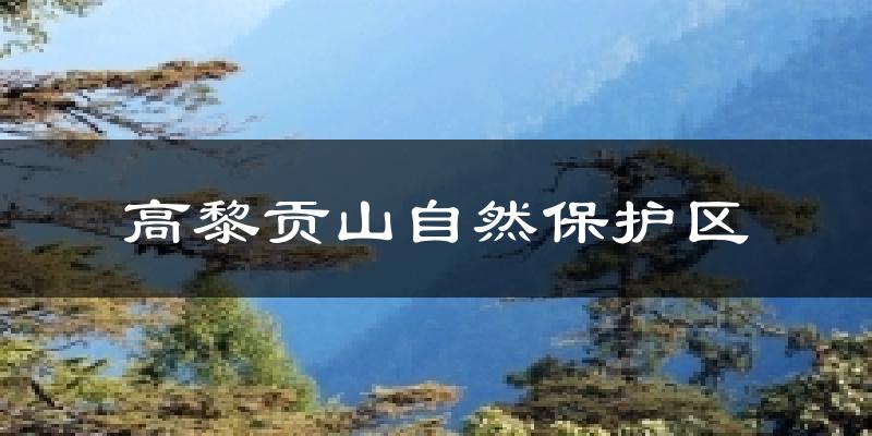 泸水高黎贡山自然保护区天气预报未来一周