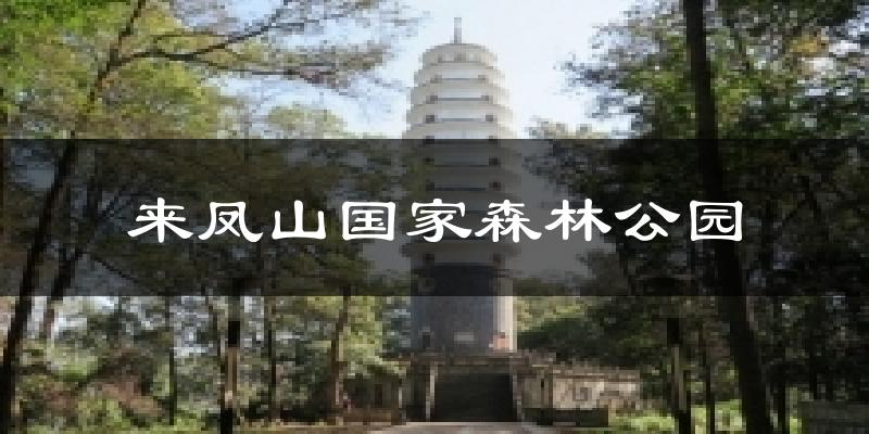 来凤山国家森林公园气温