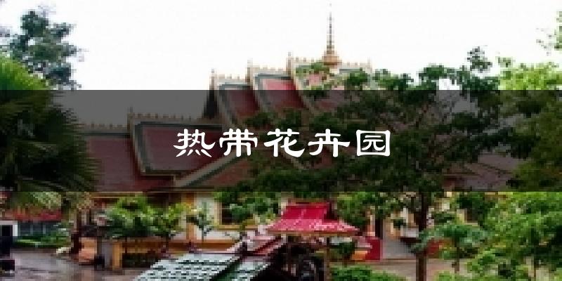 热带花卉园气温