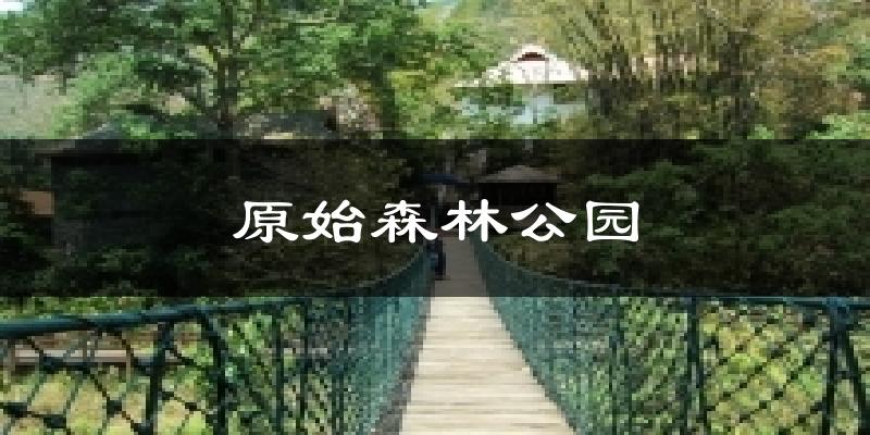 原始森林公园气温